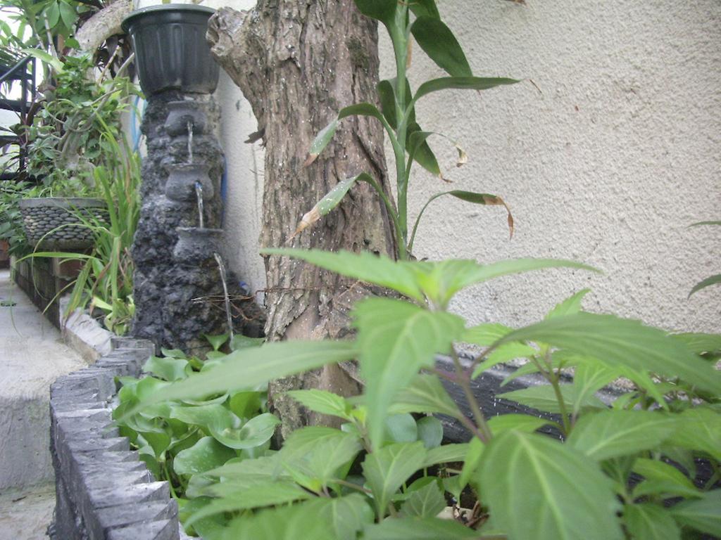 Gusti Homestay Kerobokan 외부 사진